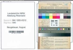 Entnazifizierung August Neugebauer , geb. 06.11.1907 (Elektromeister)