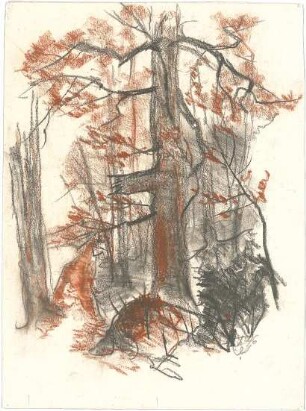 Gsaenger, Gustav; Landschafts - und Gebäudestudien - Waldlandschaft (Studie)
