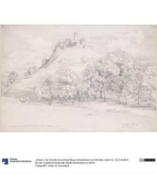 Ansicht der Burg Hohenzollern von Westen