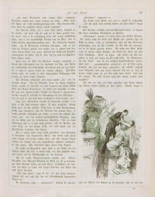 "'Ja' und 'Nein'"