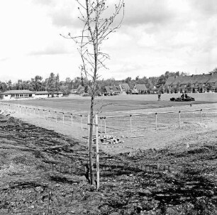 Sporteinrichtungen: Sportanlage am Kortenkamp: Ausbau: Hauptspielfeld: Auftragen des Hartbelages: hinten rechts Arbeiter mit Spezialfahrzeug: vorn Baum: dahinter in der Mitte Steinhaufen: dahinter Zaun: hinten links Sportlerheim: hinten rechts Wohnhäuser, Rentnerwohnheim und Bäume