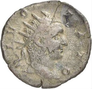 Divi: Divus Titus