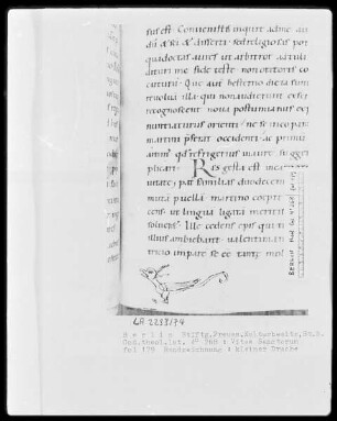 Vitae Sanctorum (Apostel, Martin, Gallus, Nikolaus, Nikodemus, Rupertus, Lambertus, Udalricus, Afra) — Ein kleines Drächelchen, Folio 179recto