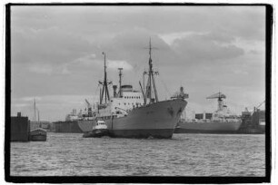 Neptun (1952), Neptun.- Dampfschifffahrts-Gesellschaft „Neptun“, Neptun Linie, D.G. "Neptun", Bremen