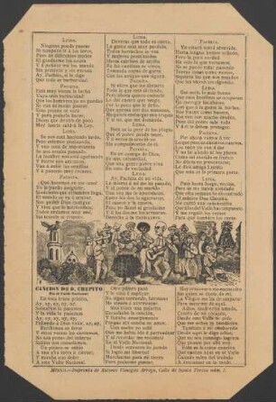 Canción de D. Chepito : en el Valle Nacional