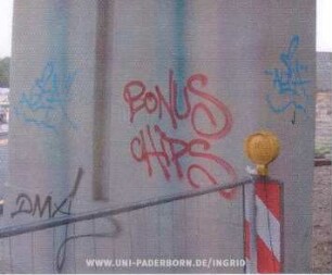 BoNUS cHiPS