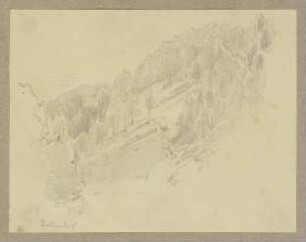 Bewaldeter Berghang