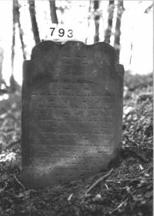 Grabstein 793 (Index: 99899158) Material: Sandstein Zustand: angewittert Maße HxBxT: 89x61x7 cm Beschreibung: Stele mit eingezogenem Segmentbogenabschluss, im Bogenfeld zwei gekreuzte Zweige Symbolik: gekreuzte Zweige: Grabstein 793