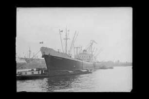 Belgrano (1953), Frachtschiff, HSDG, Hamburg, Bau-Nr. 435