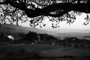 Raitbach: Blüten