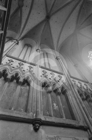 Wandgliederung und Gewölbe in der Schlosskapelle Ratibor