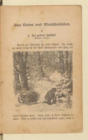 Aus Natur und Menschenleben
