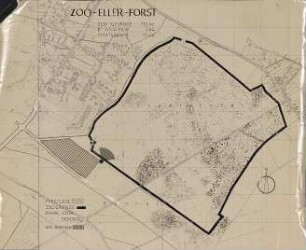 Planung neuer Zoo: Eller Forst