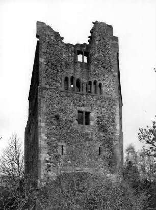 Palas