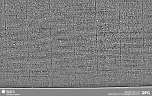 Wasserzeichen S.13_14