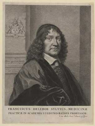 Bildnis des Franciscus Deleboe Sylvius