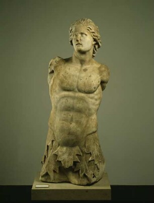 Triton