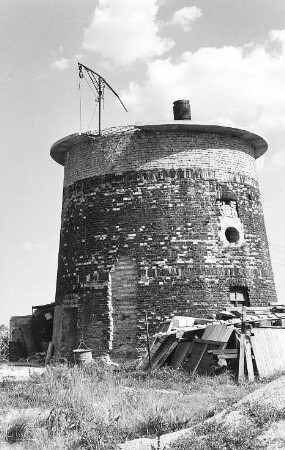 Laußig-Pristäblich. Turmholländer