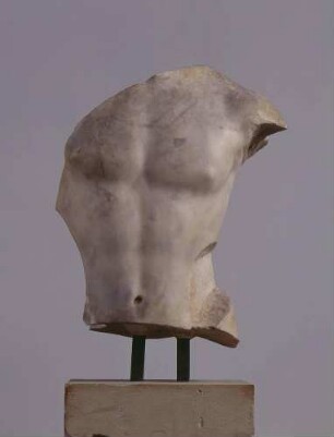 Männlicher Torso
