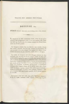 Doyenné. Duh. Pyrus Fugax ...