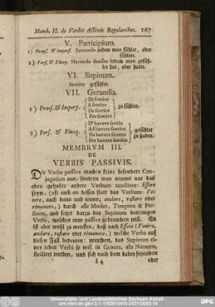 Membrum III. De Verbis Passivis.