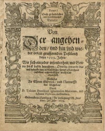 Kurtzer/ Doch gründtlicher und vollnkömlicher Bericht Von Der angehenden/ und hin und wieder bereit grassirenden Pestilentz dieses 1603. Jahrs
