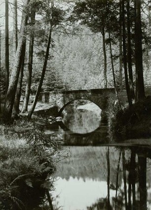 Dresdner Heide, Prießnitz : Prießnitz, Dresdner Heide, Kuhschwanzbrücke