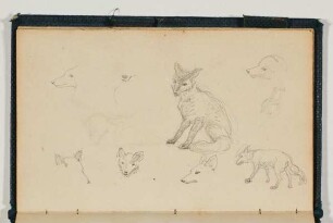 Verschiedene Tierstudien - Landschaftsstudie mit einsamer Figur