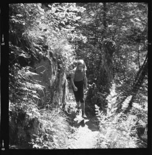 In der Wutachschlucht