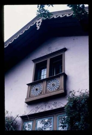 Pfaueninsel 28.7.80.