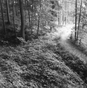 Mittelsachsen. Wanderweg der "Grabentour" am Rothschönberger Stolln (1844/1846)