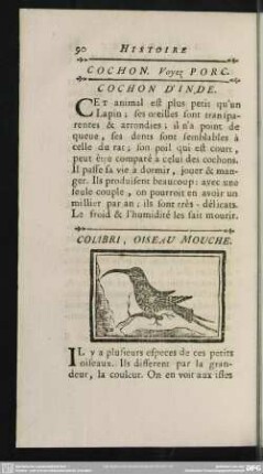 Colibri, Oiseau Mouche