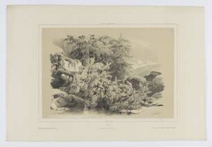 Berglandschaft mit Wasserfall und umgestürztem Baum, Blatt 36 der Folge "Landschaftsstudien"