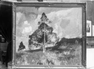 Wiesenlandschaft mit Bäumen