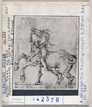 Albrecht Dürer: Nakcter Mann mit Pferd. Bayonne, Musée Bonnat