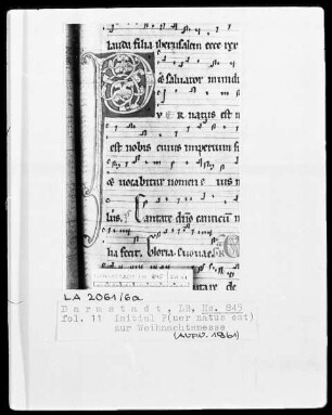 Graduale — Initiale P(uer natus est), Folio 11recto