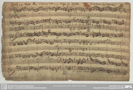 Concertos - Mus.2494-O-10,1 : fag, strings, bc - g