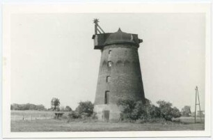 Güsen 1+2 Turmholländer und Bockwindmühle