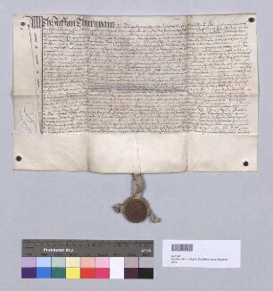 Stephan Thurnbauer zu Thurnhof tauscht mit Erhard Schmidtmair zu Gonnersdorf den Thurn-Hof zu Thurnhof gegen dessen Hof zu Gonnersdorf. S: Achatius von Thannberg zu Offenberg
