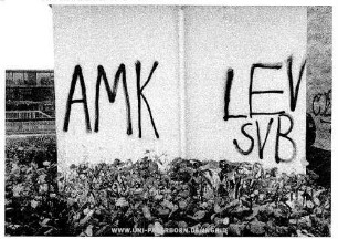 AMK LEV SVB