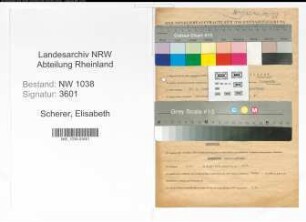 Entnazifizierung Elisabeth Scherer , geb. 27.05.1908 (Stenotypistin)