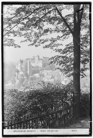 Sächsische Schweiz. Burg Hohnstein