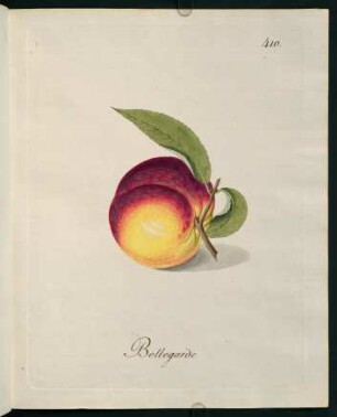 Bellegarde