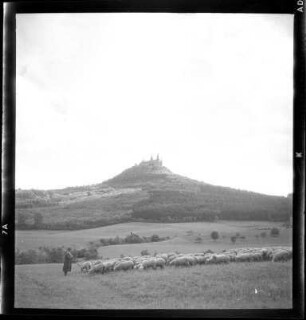 Schäfer unterhalb der Burg Hohenzollern
