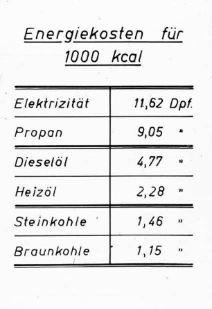 Energiekosten für 1000 kcal