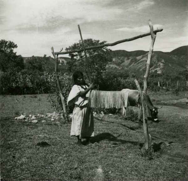 Arhuaco woman tying a palm broom.