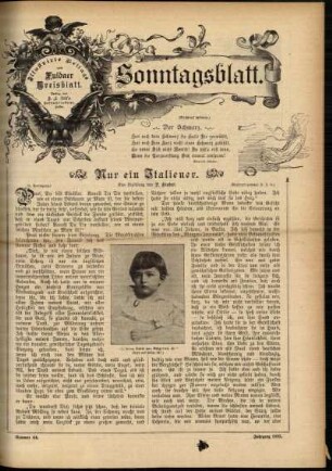 Ausgabe vom Sonntag, den 03. November 1895.