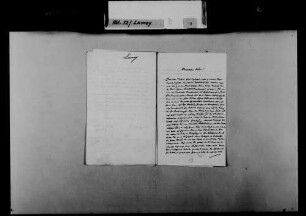 Schreiben von N.N. Lang, Würzburg, an August Lamey: Berufung von Lamey an die Universität Würzburg.