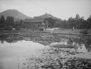 Heijō-kyō (Kaiserliche Residenzstadt Friedensburg)Tōin-Garten : Blick über den Teich mit Seerosen