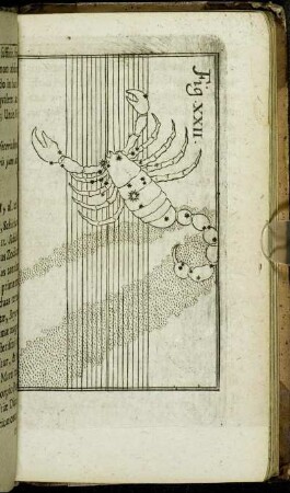 Fig. XXII.